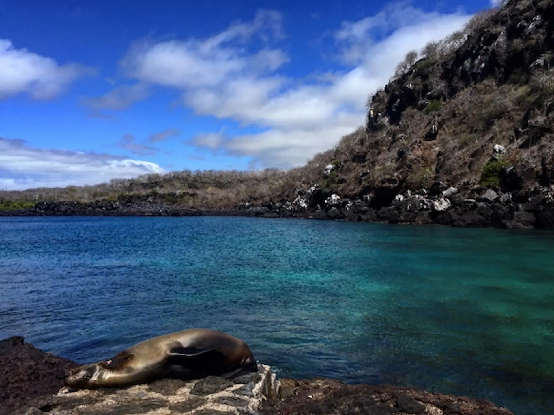 Sustainability in the Galápagos Islands