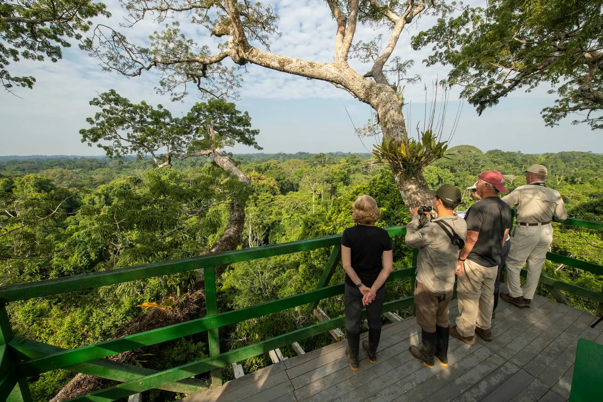 Observation Towers