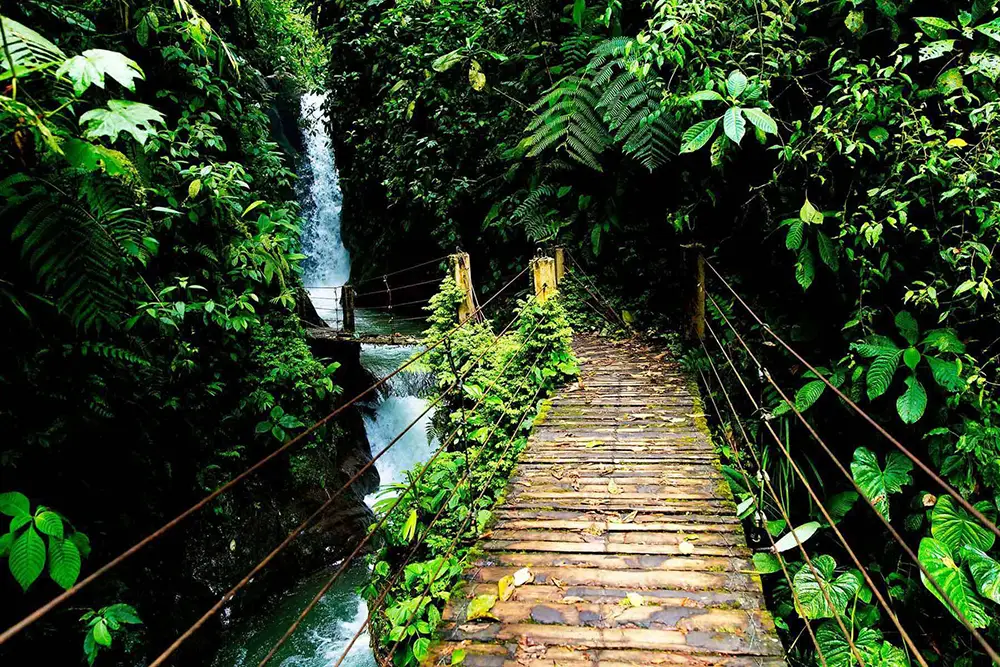 Hiking to the waterfalls