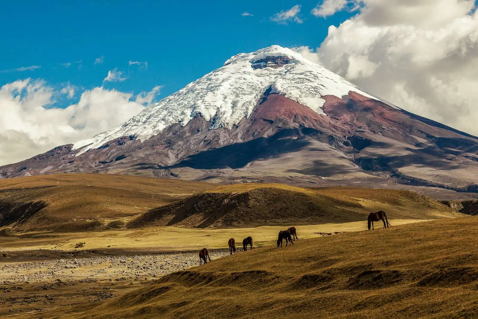 Visiting Cotopaxi National Park