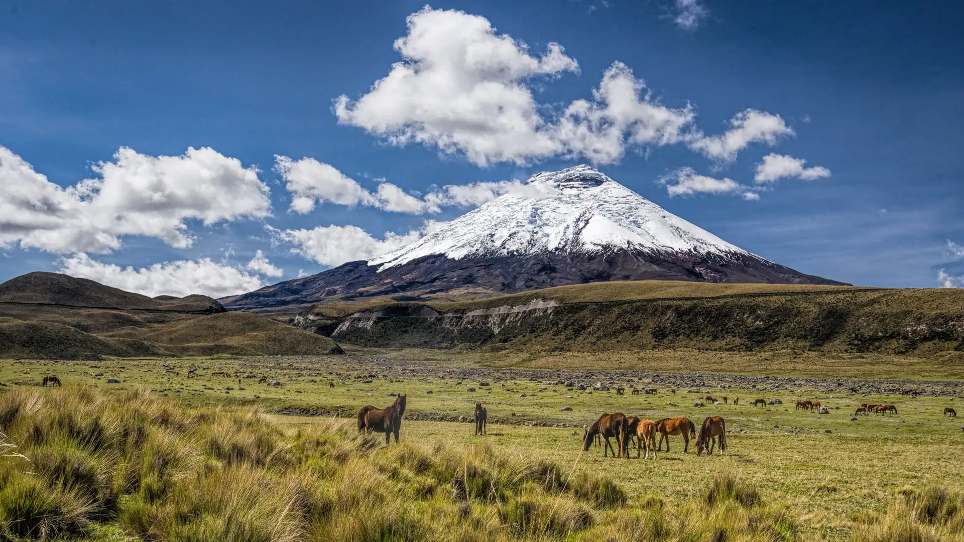 Lunch with a Cotopaxi view