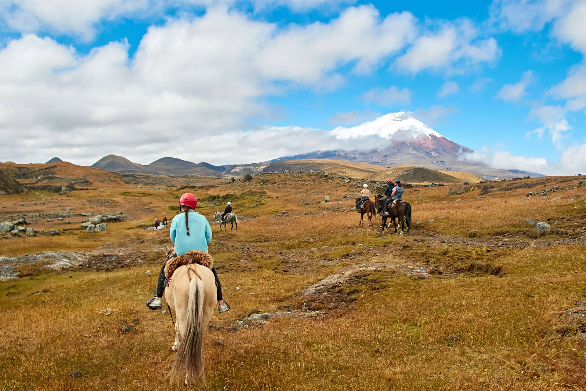 Riding along with wild Horses