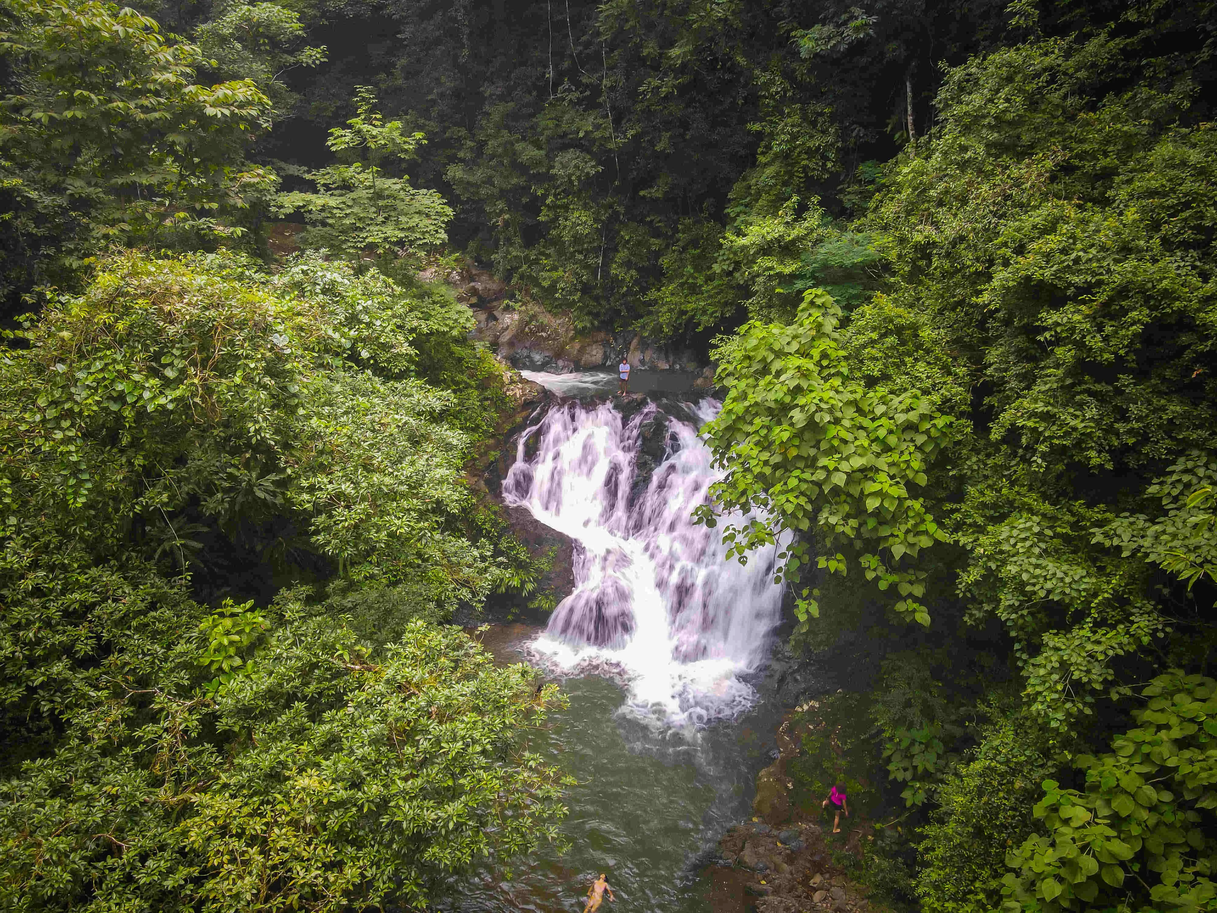 Wonderful immersion into Panamanian nature