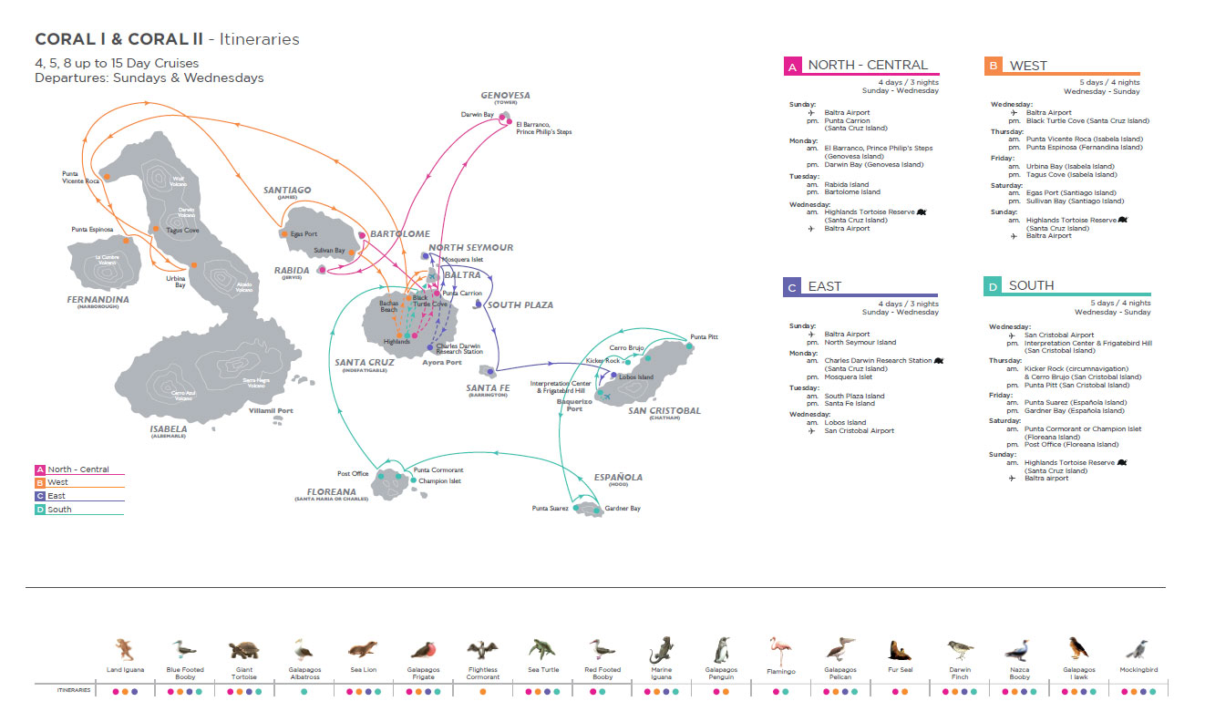 coral-itinerary-02.jpg